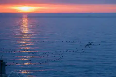 Бристоль - 103