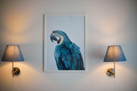 ZBest Айсберг - 114