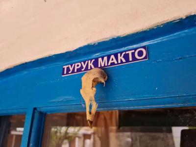 Бабушкин Этнодом - 61