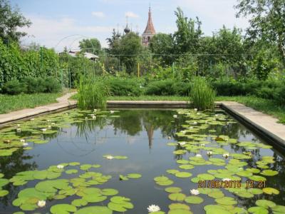 Гостевой дом Соловьевых - 11