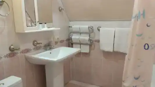 Афина - 29