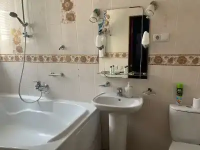 Афина - 42