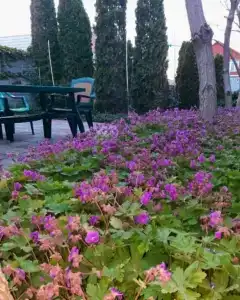 Гостевой дом на Авиаторов 87 - 33