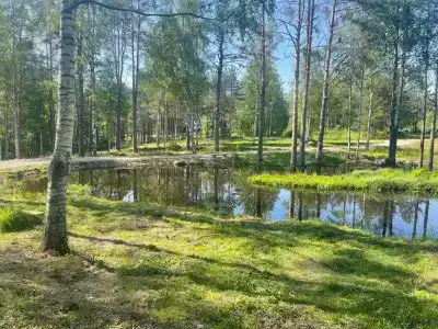 Хутор Vilppula - 10