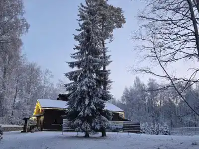 Хутор Vilppula - 14