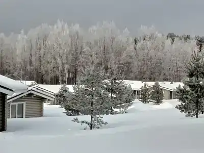Вальд парк - 16