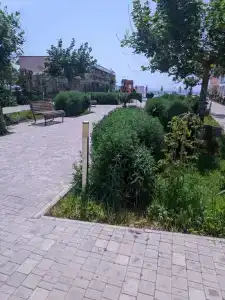 Морской квартал - 44