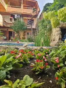 А у нас во дворе... - 1