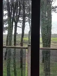 Kaprovani Kako - 3