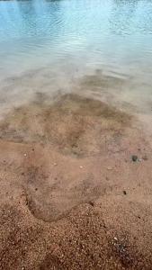 Глэмпинг Остров Кемп - 3