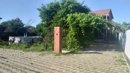 Горизонт - 24