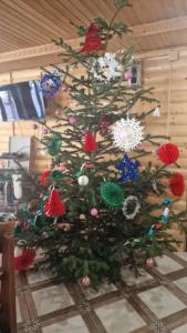 Архыз Сити - 233