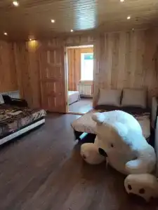 Уютный котедж на берегу Волги - 10