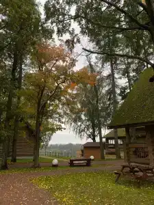 Пан-фазан - 13