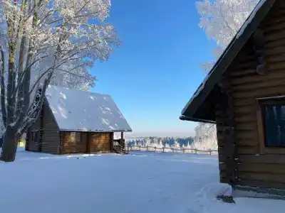 Пан-фазан - 16