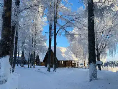 Пан-фазан - 20