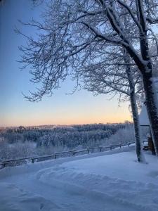 Пан-фазан - 21