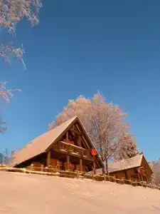 Пан-фазан - 19