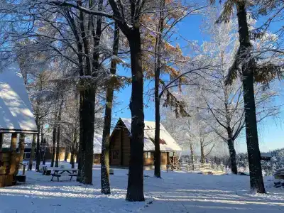 Пан-фазан - 15