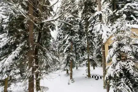 Шантивиллас - 39