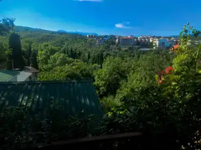 Кипарисовый дворик - 1