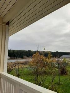 Lintu - 39