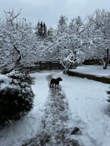 Домик с баней-бочкой - 32