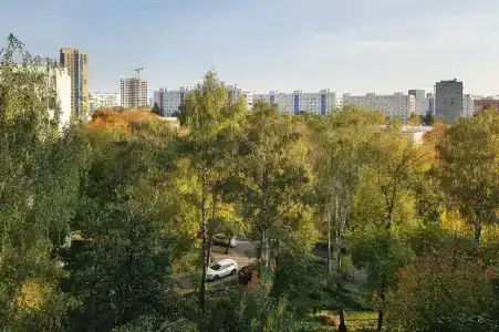 Соколов - 33