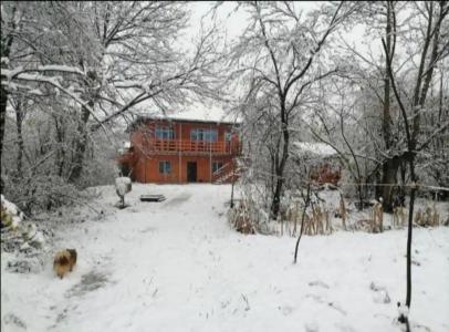 Хижина - 21