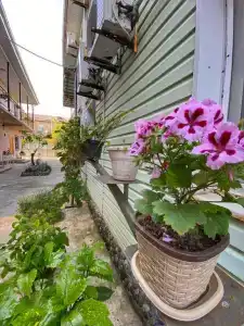 У Нелли - 6
