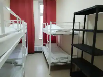 Все Медведи - 3