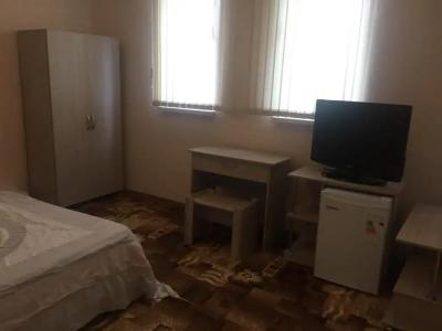 Два дельфина - 13