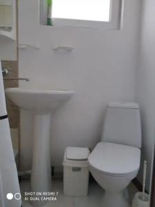 Два дельфина - 12