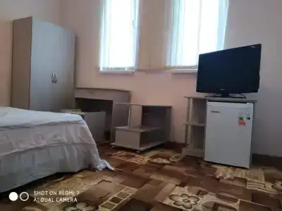 Два дельфина - 9