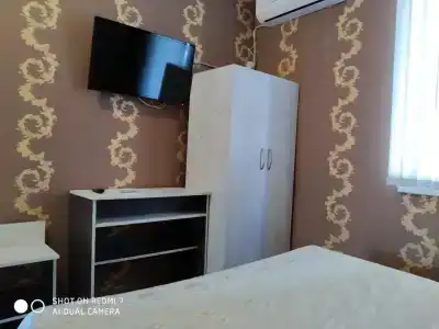 Два дельфина - 10