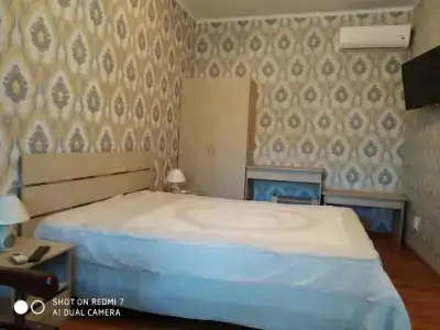 Два дельфина - 7