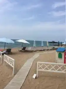 Два дельфина - 5