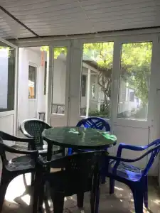 Два дельфина - 2