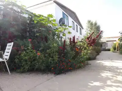 Два дельфина - 3