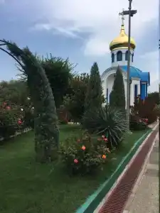 Два дельфина - 4