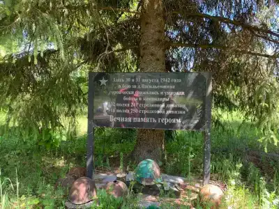 Селигер для Вас - 185