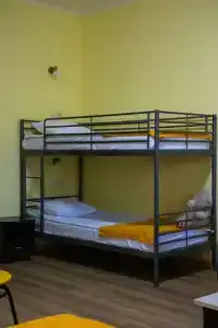 Yellow - 44