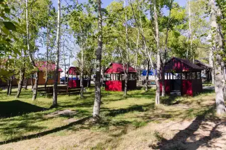 Баргузинский прибой - 9
