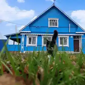 У Александра