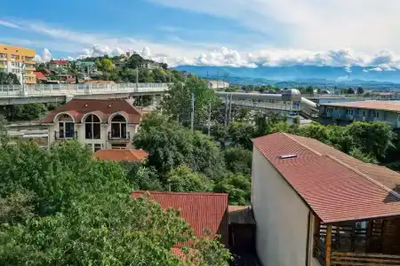 Афалина - 2