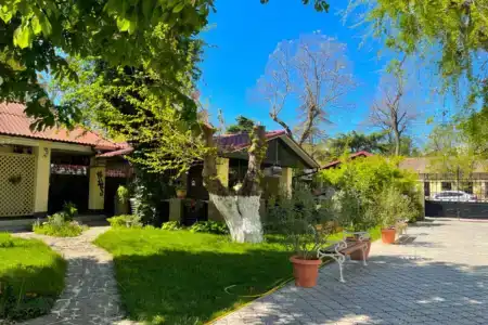 Dolce Vita - 1