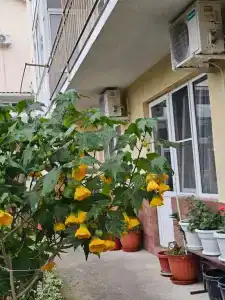 Любимый дворик - 10