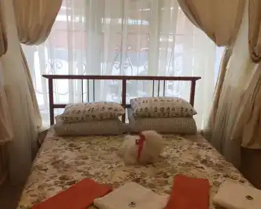 В тапочках - 22