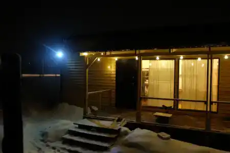 Смородина - 141