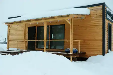 Смородина - 145